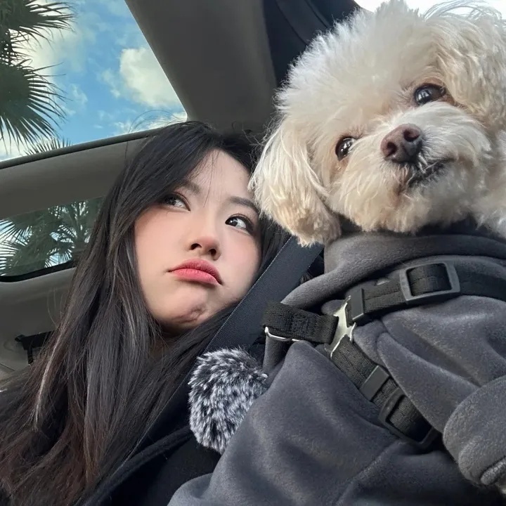 刷抖音举报，你的随手举报，正在成为一门灰色生意