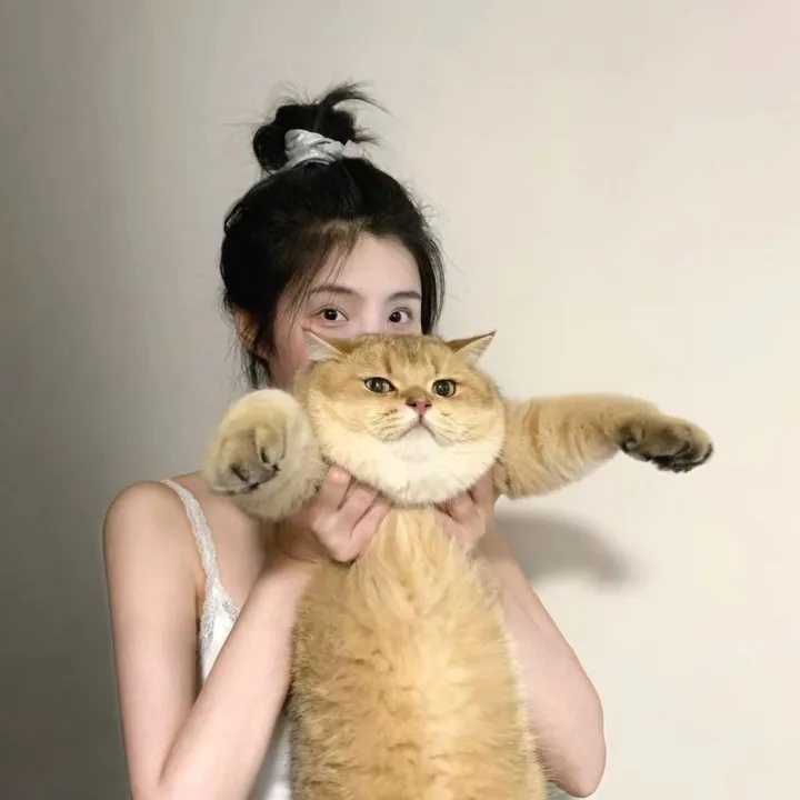 怎么把一个人的快手号搞封，快手账号安全不容侵犯，恶意攻击他人账号可能触犯法律红线